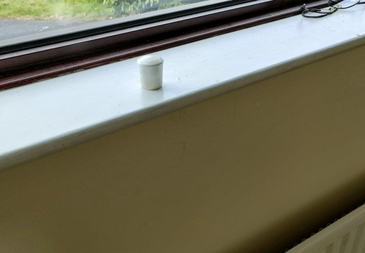 More Leaks than a Welsh allotment